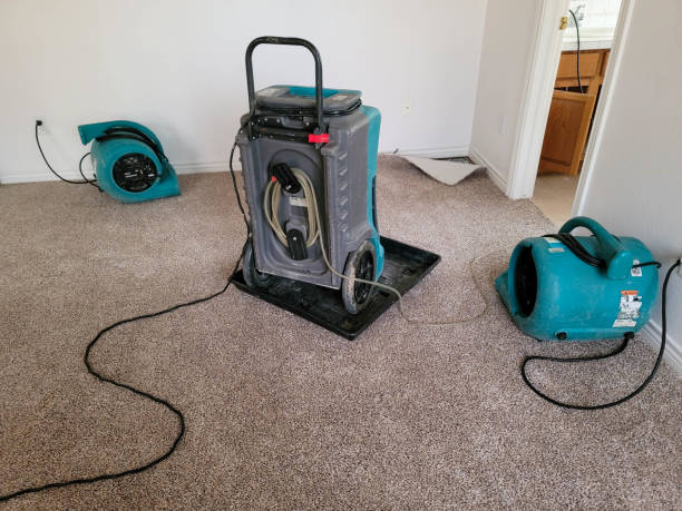 Lebanon Junction, KY Water damage restoration Pros
