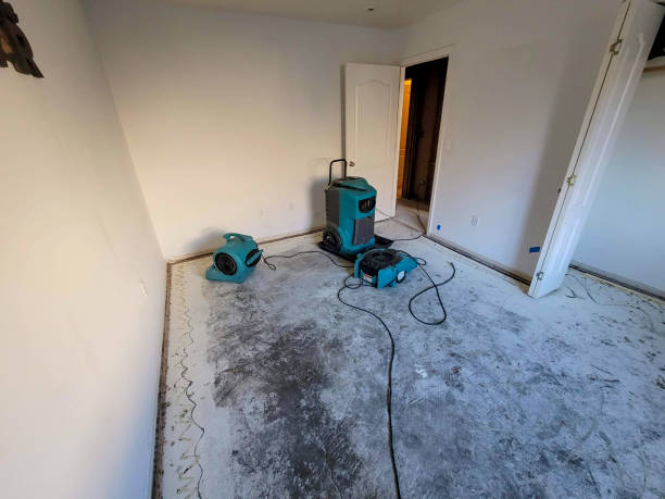 Sewage cleanup and water damage restoration in Lebanon Junction, KY