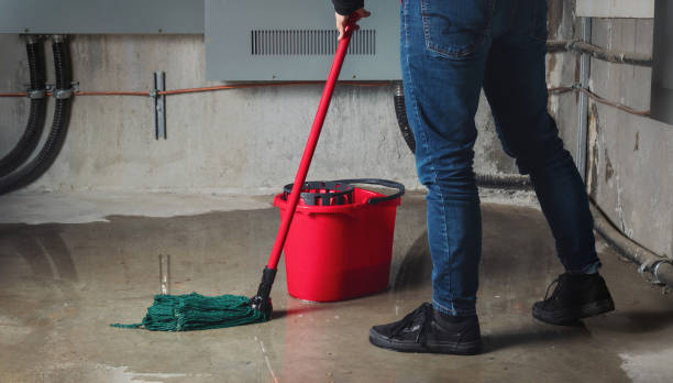 Best Flood restoration services  in Lebanon Junction, KY