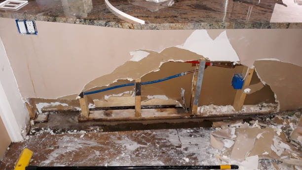 Best Fire Damage Restoration  in Lebanon Junction, KY
