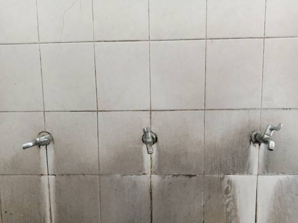 Best Water damage restoration company  in Lebanon Junction, KY