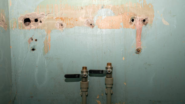 Best Fire Damage Restoration  in Lebanon Junction, KY
