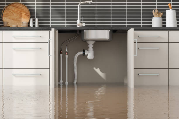 Best Professional water damage repair  in Lebanon Junction, KY