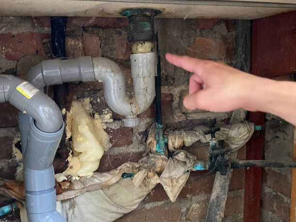 Best Sewage cleanup and water damage restoration  in Lebanon Junction, KY
