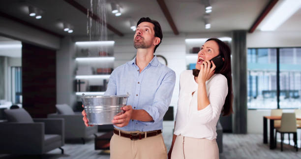 Reliable Lebanon Junction, KY Water damage restoration Solutions